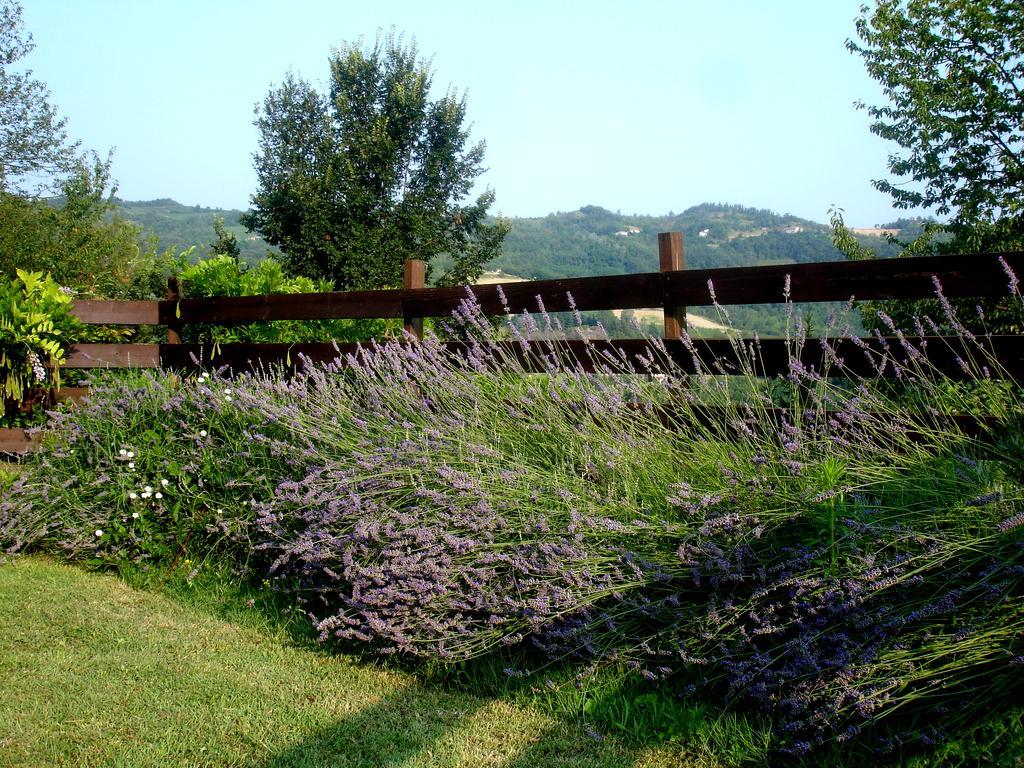 Cascina Ciosse B&B Grognardo 客房 照片