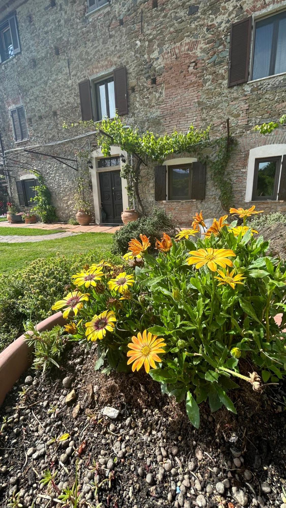 Cascina Ciosse B&B Grognardo 外观 照片