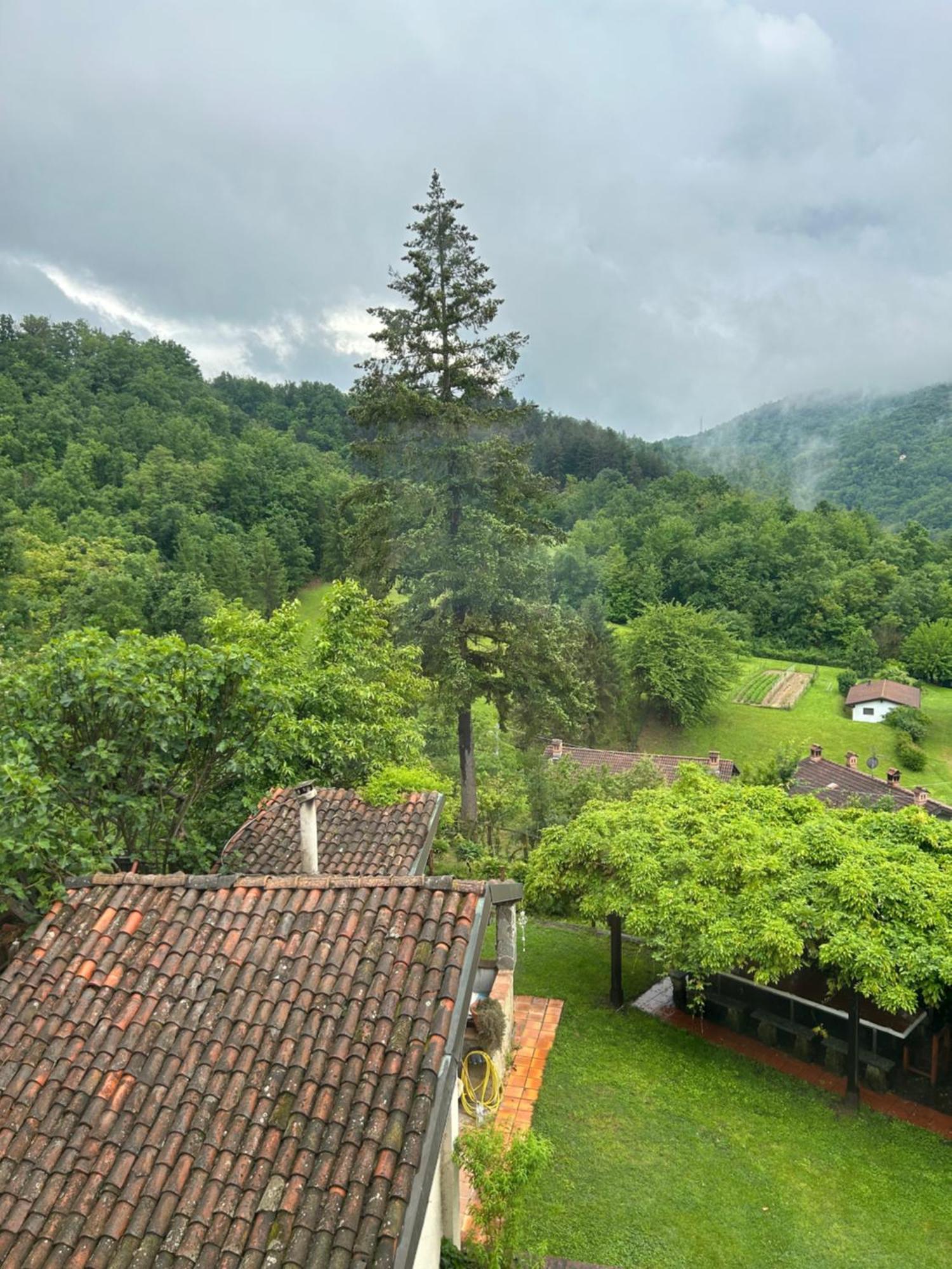 Cascina Ciosse B&B Grognardo 外观 照片